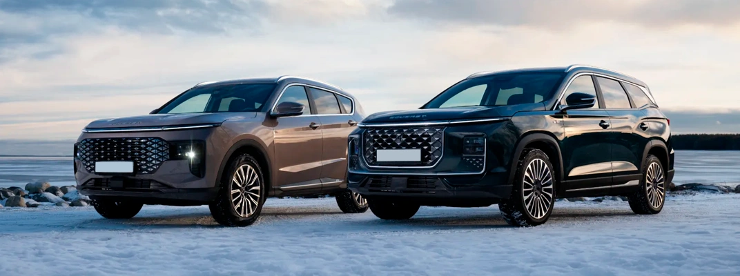 Купить SOUEAST в Сургуте